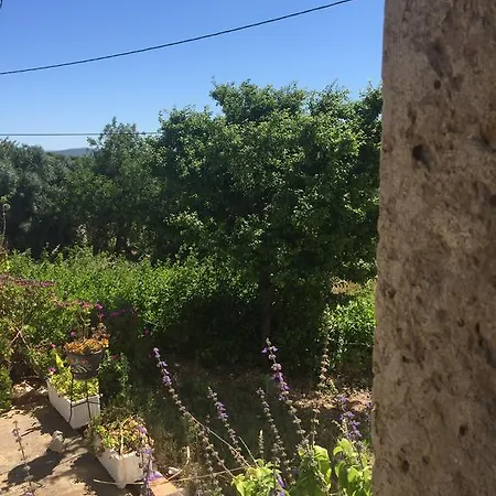 Bellavita Museum * Paderne (Faro)