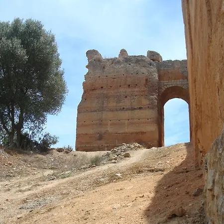 Bellavita Museum