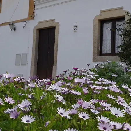Bellavita Museum